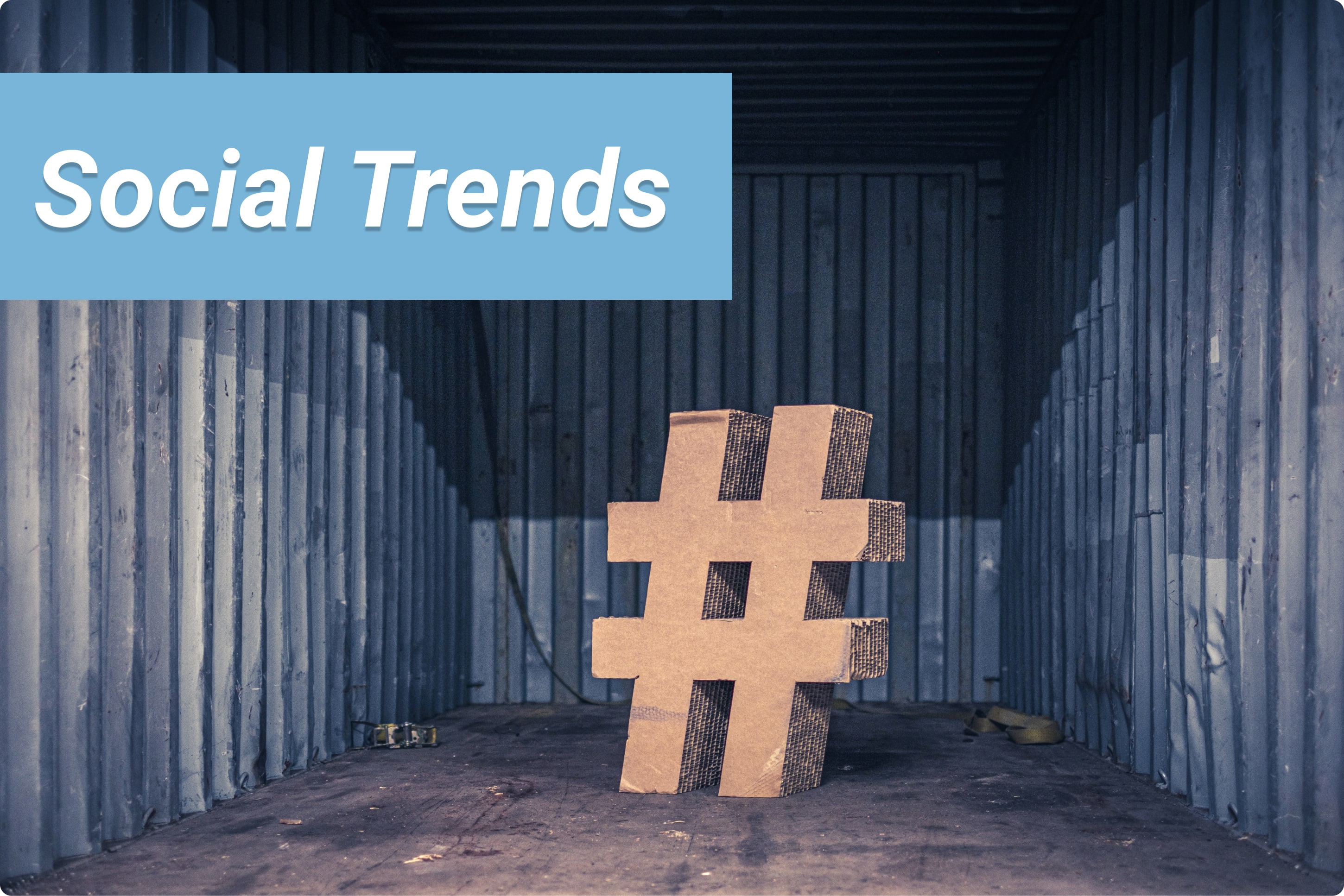 Investigación de tendencias en la red