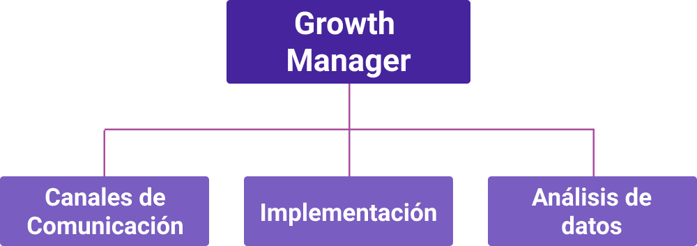 Diagrama de un equipo de Growth