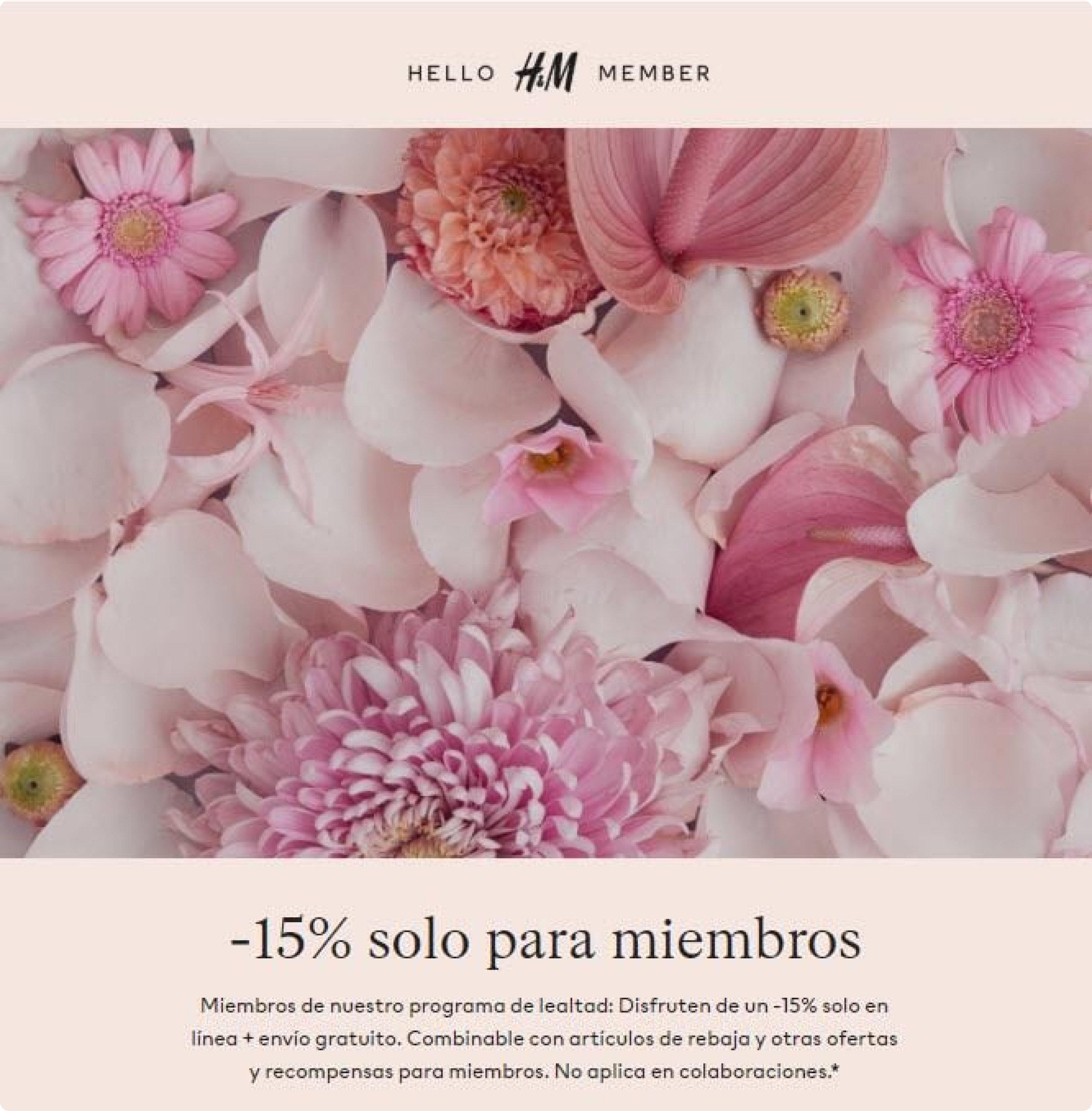 Programa de lealtad de H&M