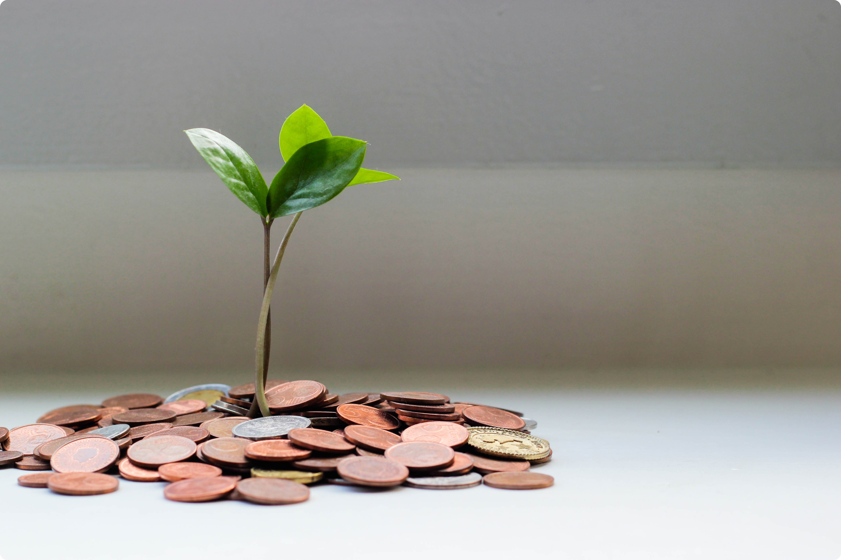 Ahorro de recursos